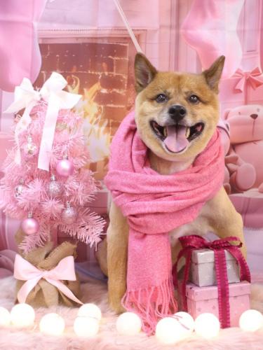 20241203やまとくん